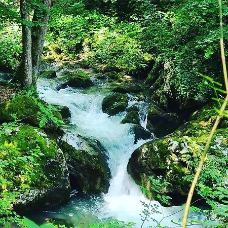 Tarski Meda Kaludjerske Bare,tara Apartman *