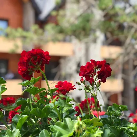 Tarski Meda Kaludjerske Bare,tara Kremna