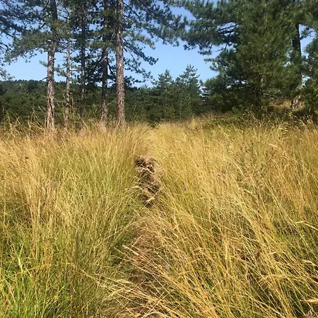 Tarski Meda Kaludjerske Bare,tara Appartamento