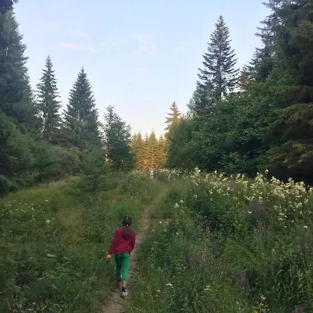 Tarski Meda Kaludjerske Bare,tara Apartman