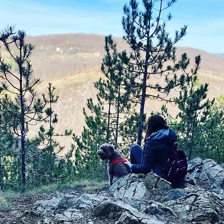 Tarski Meda Kaludjerske Bare,tara Apartman Kremna